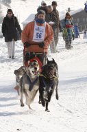 Lenk 2012 SM